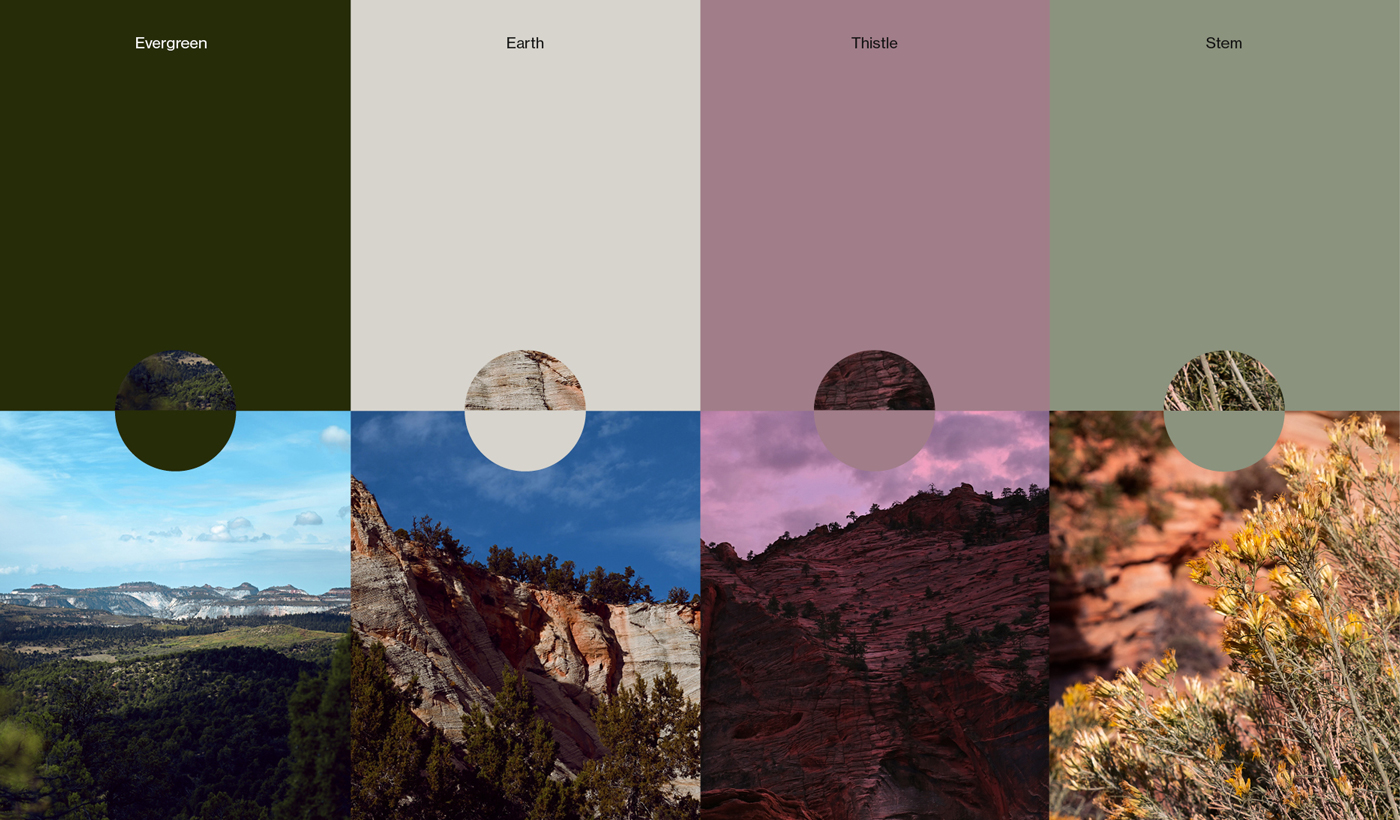 Color palette