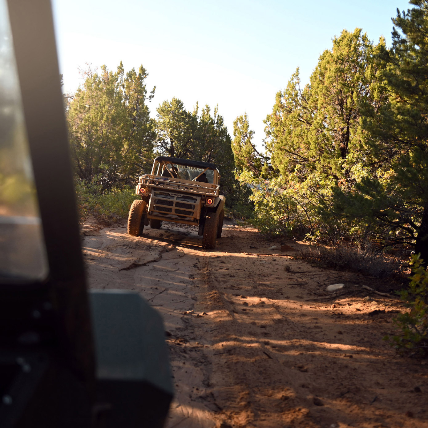 Back of utility vehicle