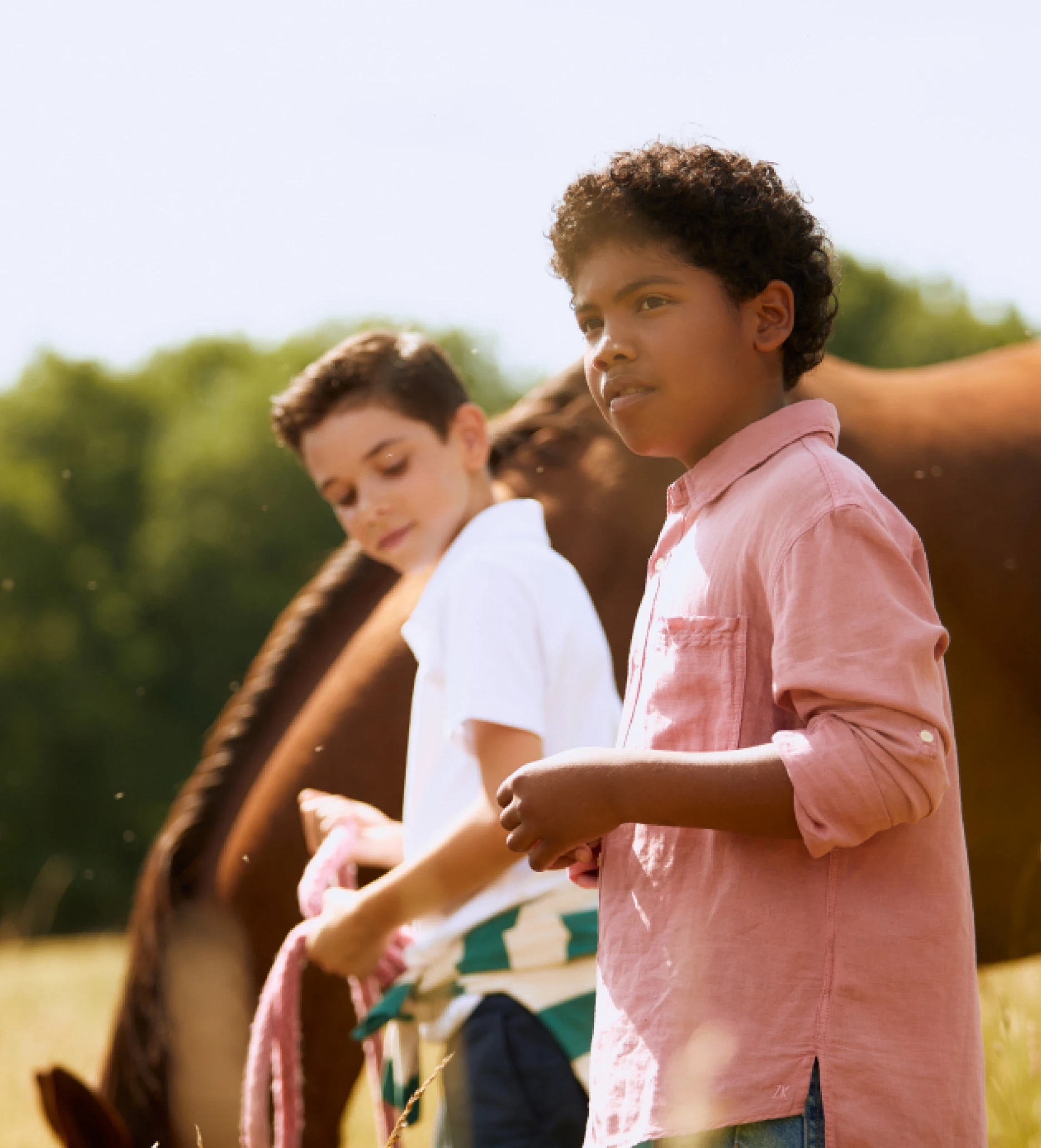 Two boys in a field with horse in background